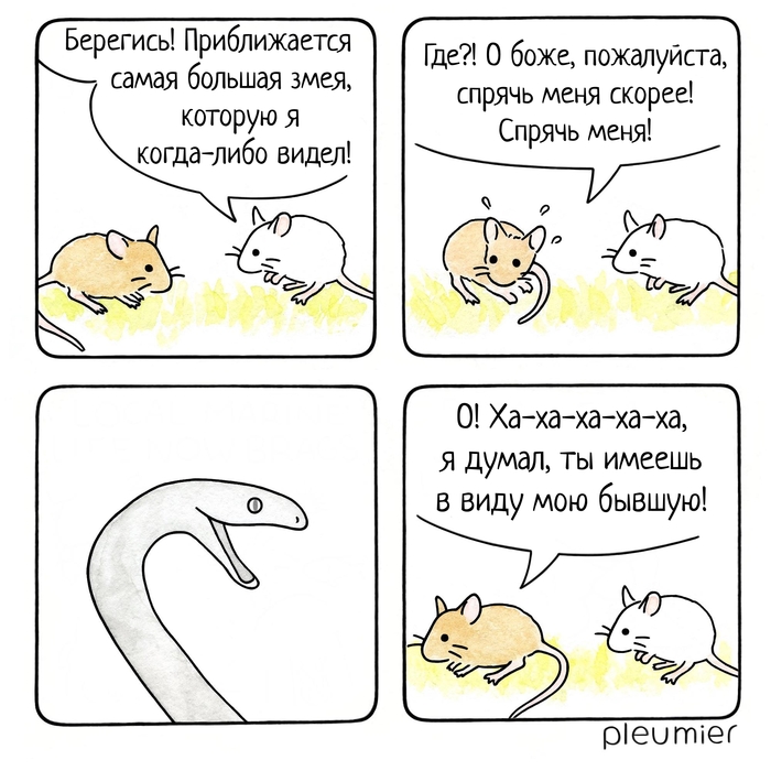 Самая большая змея