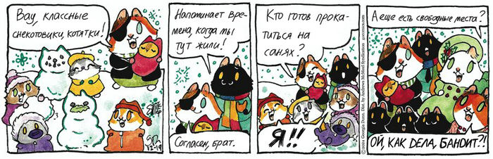 Котейкины Новости от 19.12.2024