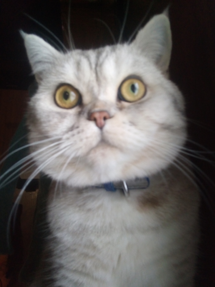 ��� ����� ����