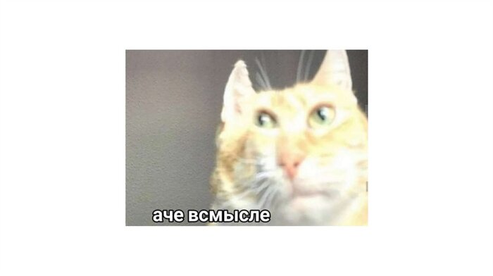 ������ �������