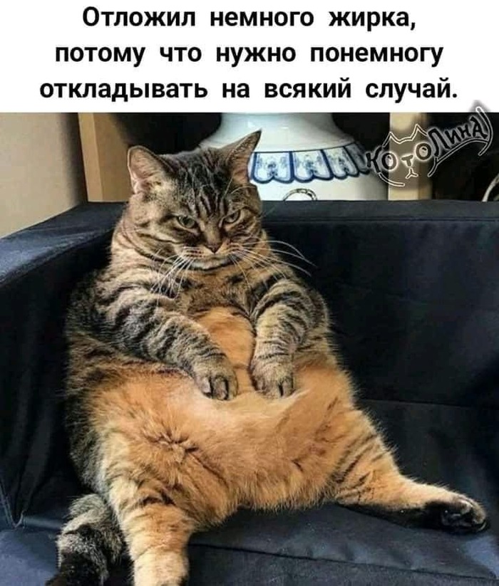 � �� ���������