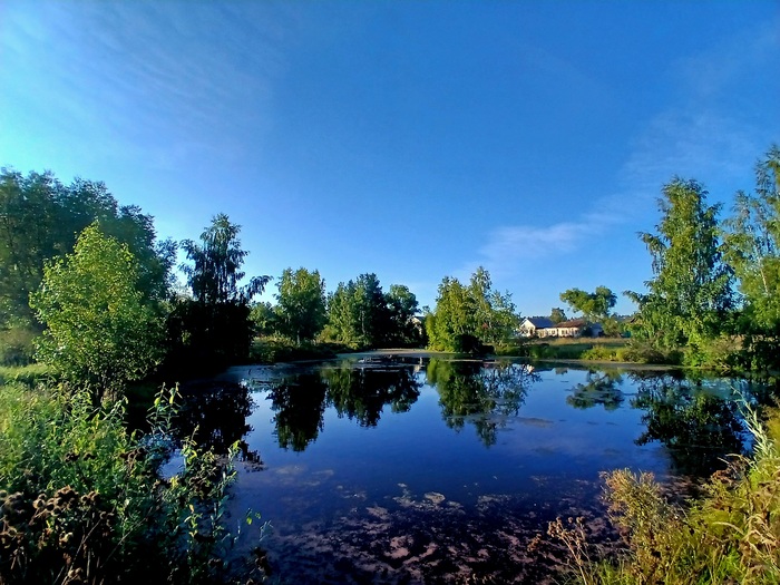 Пруд "Ржавцы". Сейчас в нем не искупаться, но выглядит живописно. Рядом есть родники.