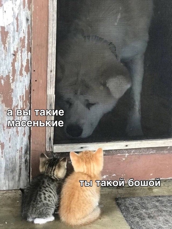 Начало большой дружбы