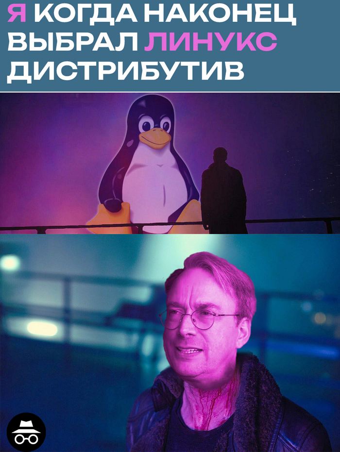    5  IT, , IT ,  , Linux, Windows, ,   
