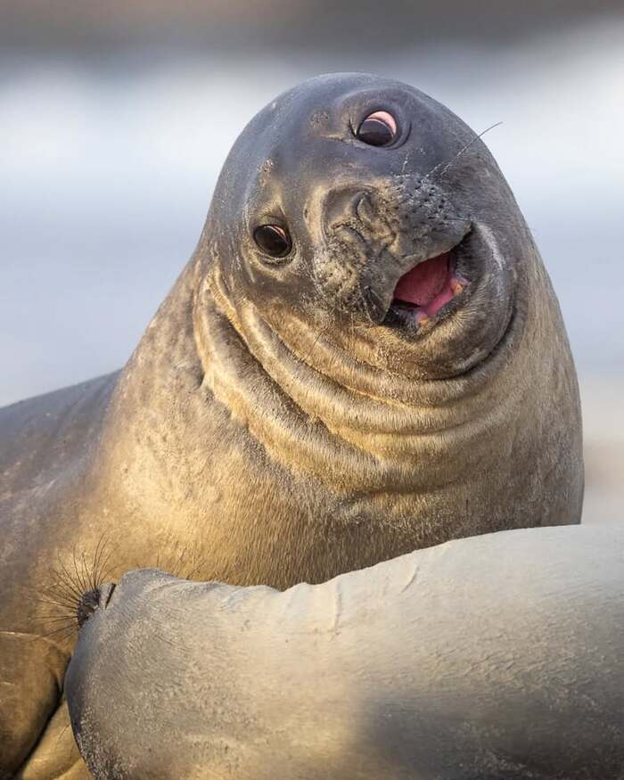 Заигрываешь?