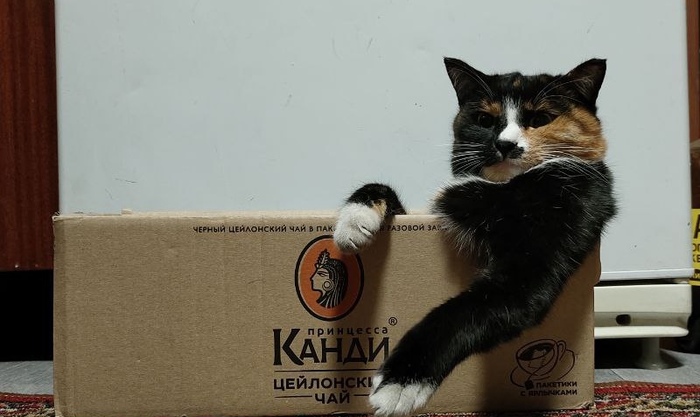 �������� � ��������