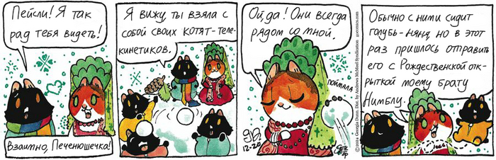 Котейкины Новости от 20.12.2024