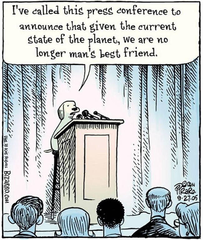     Bizarrocomics, , 