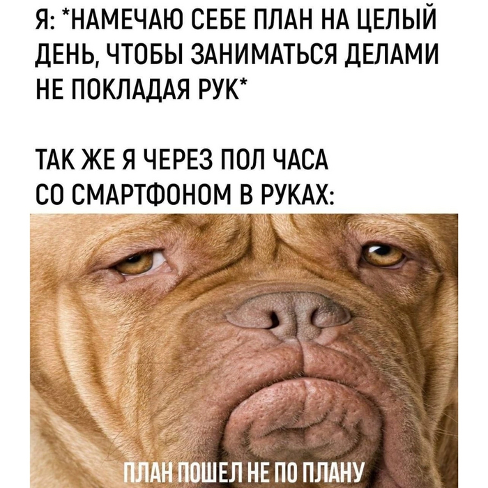 Что-то пошло не так