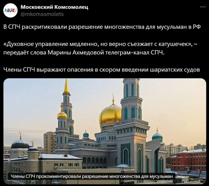 HRC members comment on allowing polygamy for Muslims - news, Politics, Russia, Religion, Muslims, Marriage, Family, The large family, Polygamy, Legislation, Violation of the law, Negative, Society, Moscow's comsomolets, Telegram (link), Human rights, A wave of posts, Spiritual Administration of Muslims