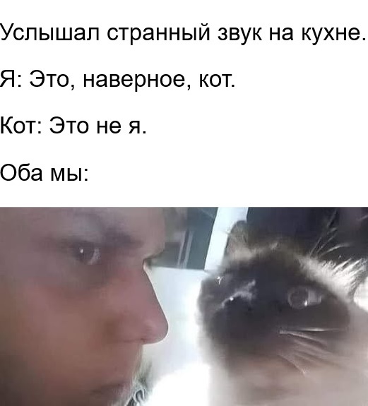  )