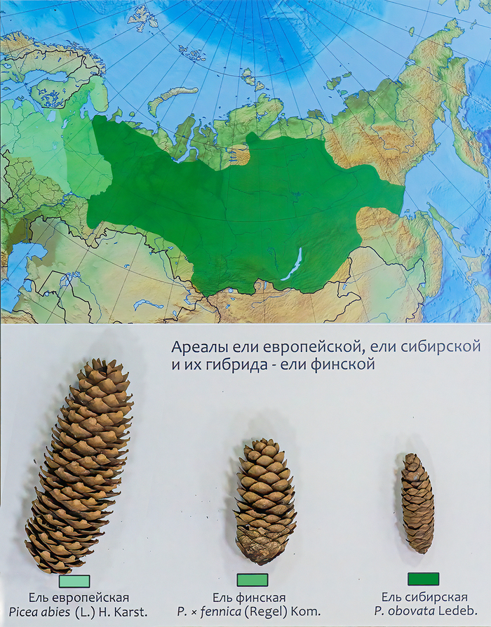   ,     ,     .&nbsp;     .