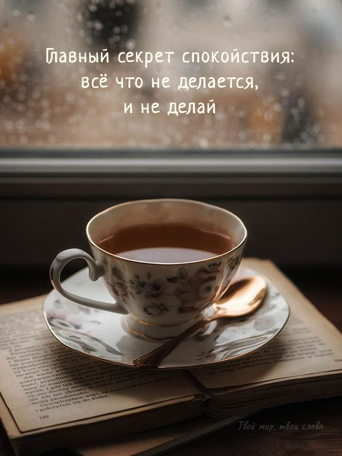   ...   , , Telegram ()