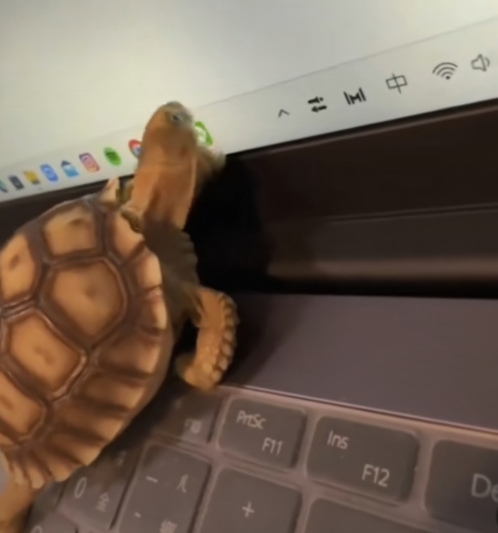 ������������� ������ ���� � �������