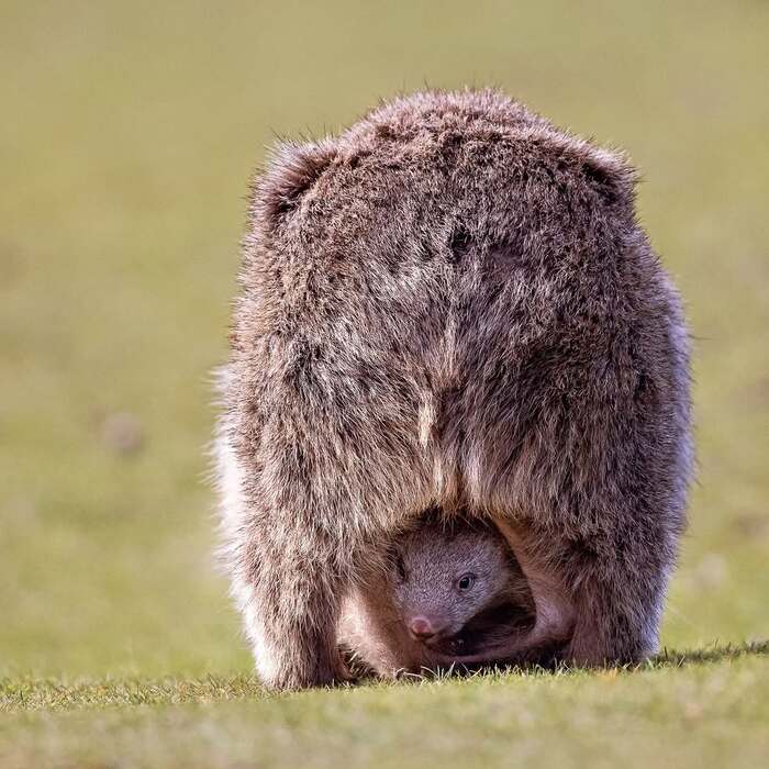 -! , , ,  ,  , , 