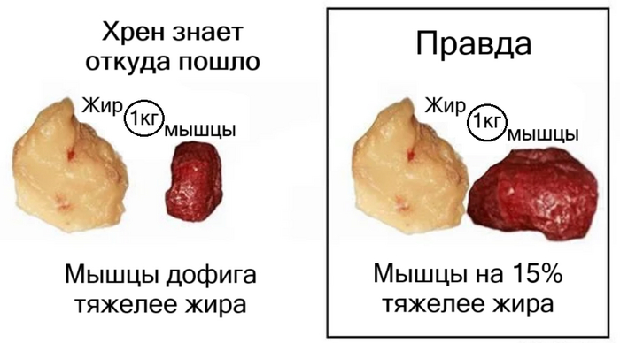 Кто же мог согласиться на такой эксперимент?