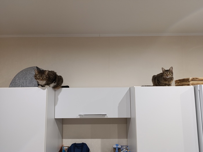 ��������� �����