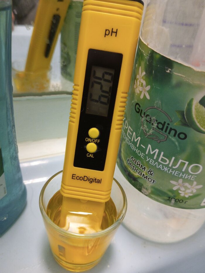 �� ���� �� ���� ����� 12 ���� �������