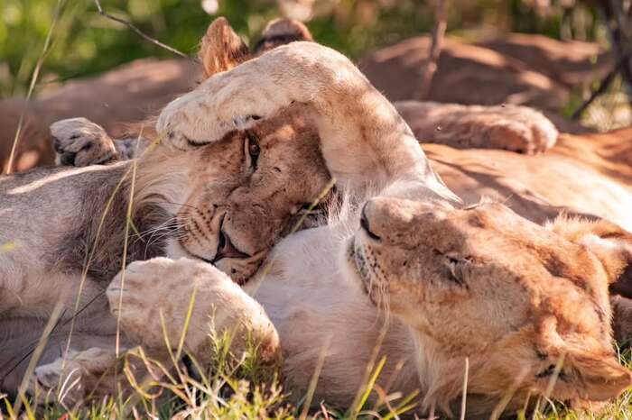 Время с мамой