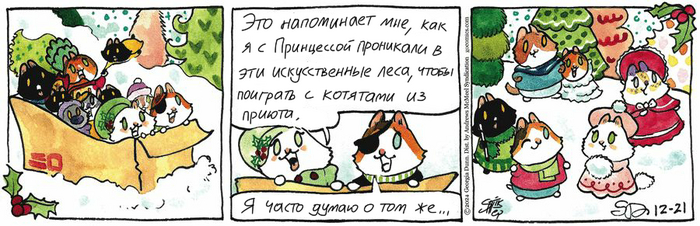 Котейкины Новости от 21.12.2024