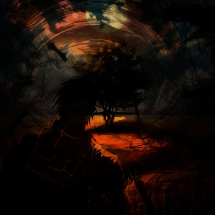    ,  , , SCP, 