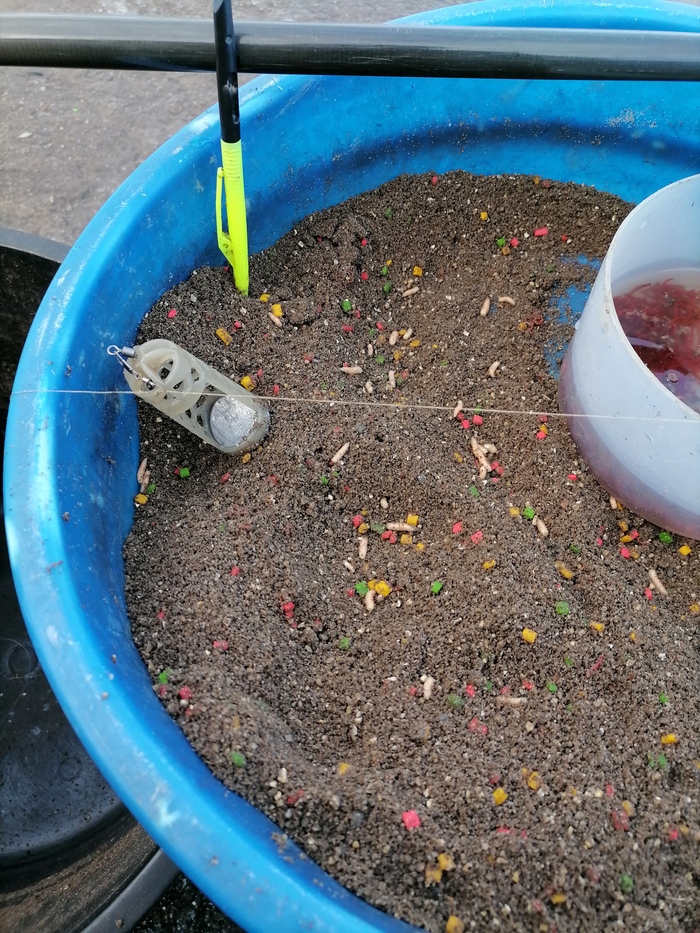      -,.   ,  ,    ,    . 