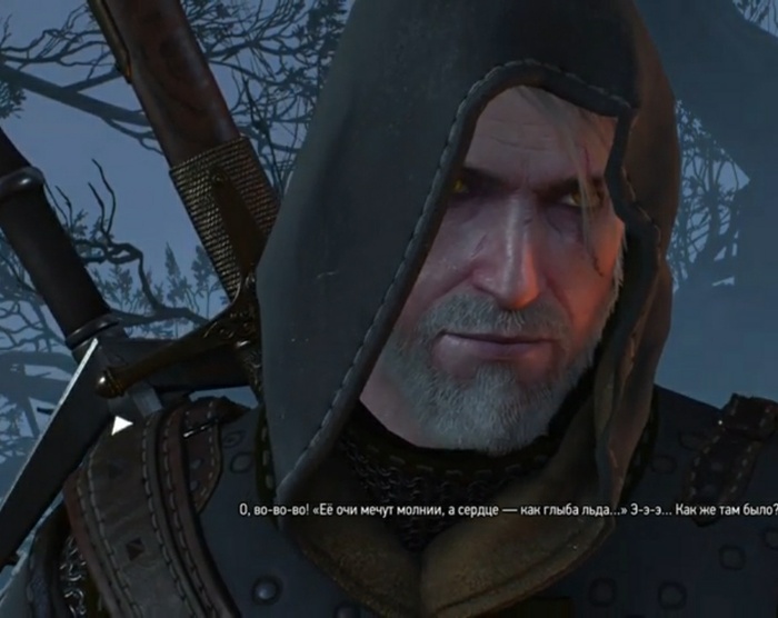 В книге Сапковского "Меч предназначения" рассказ "осколок льда" упоминается королева зимы.эльфская знающая из народа Ольх которая пыталась остановить белый хлад.