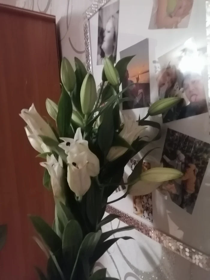 Delivery of motherfucking flowers - My, Cheating clients, Flowers, The gods of marketing, Infuriates, Longpost