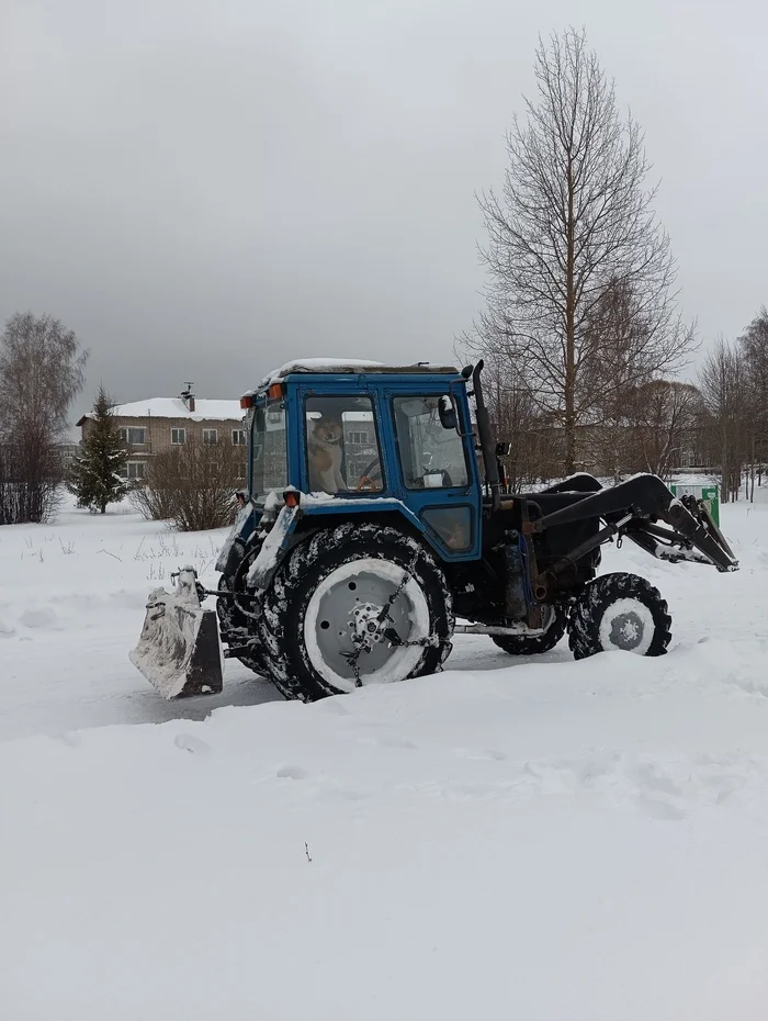 First day at work - My, Tractor, Snow removal, Dog, First day, Work, Suddenly, Longpost, Mobile photography