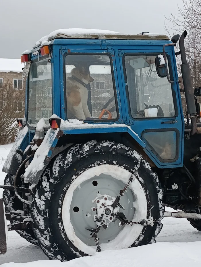 First day at work - My, Tractor, Snow removal, Dog, First day, Work, Suddenly, Longpost, Mobile photography