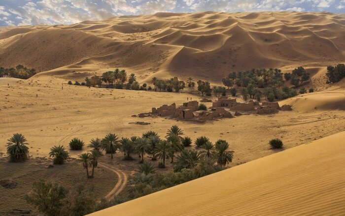 Главные фанаты ислама