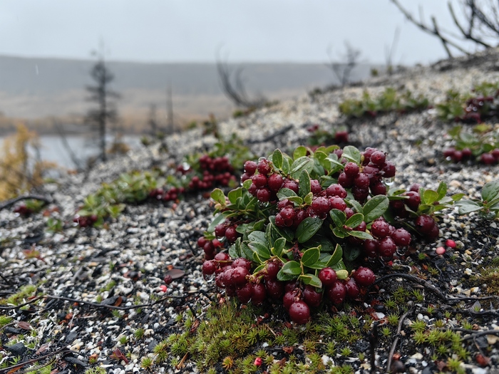 ����� ���� ���� ������ ��� �������. ����� ������� �������� � ����� �� ��. ��� �������� ��� ������� ���� � ���� ����� ���������� �� ����.