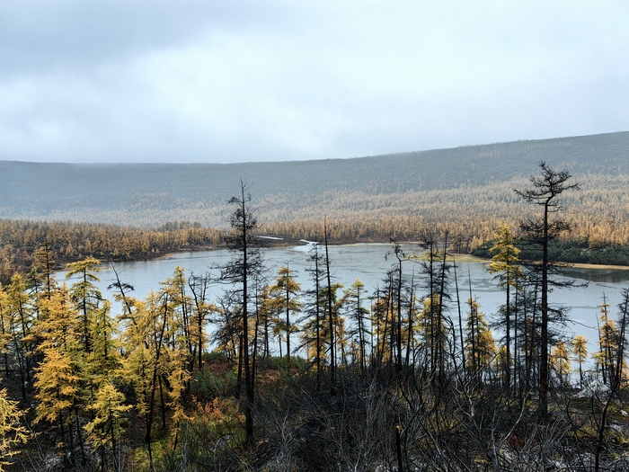 ��� ���� ����� ��������, ���� ���������� ��������� �� ��������. ����� ����� �� ��� ������� "�������"