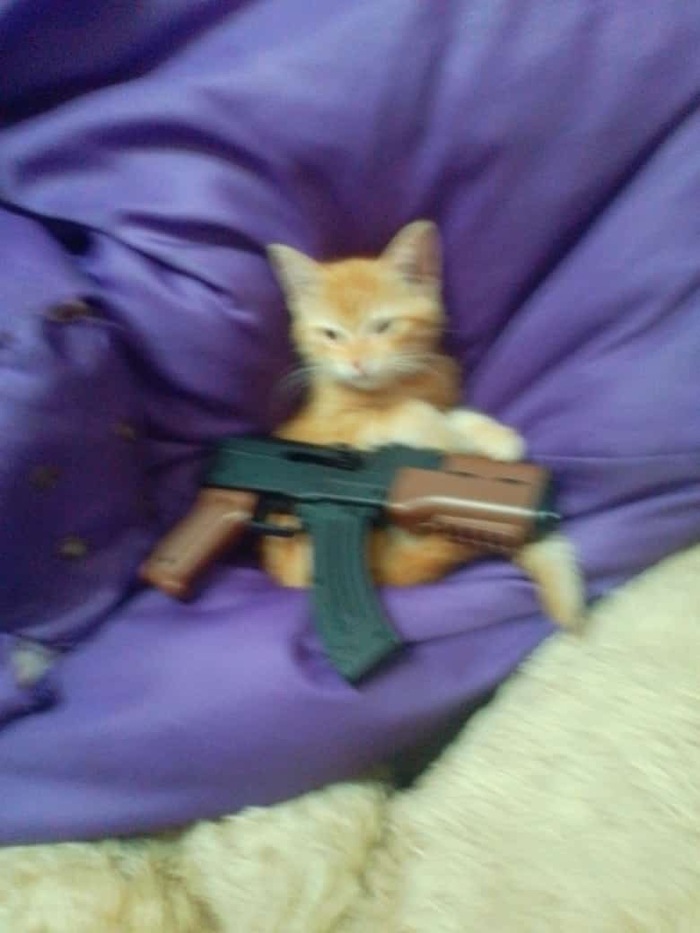   , ? , , Kill, 