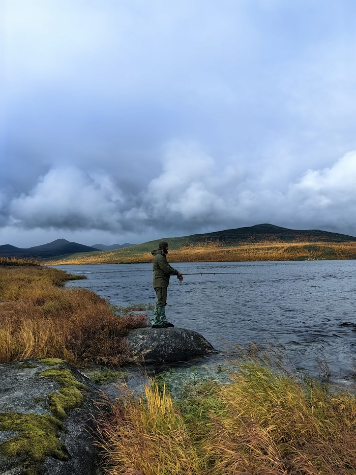 ������� �������