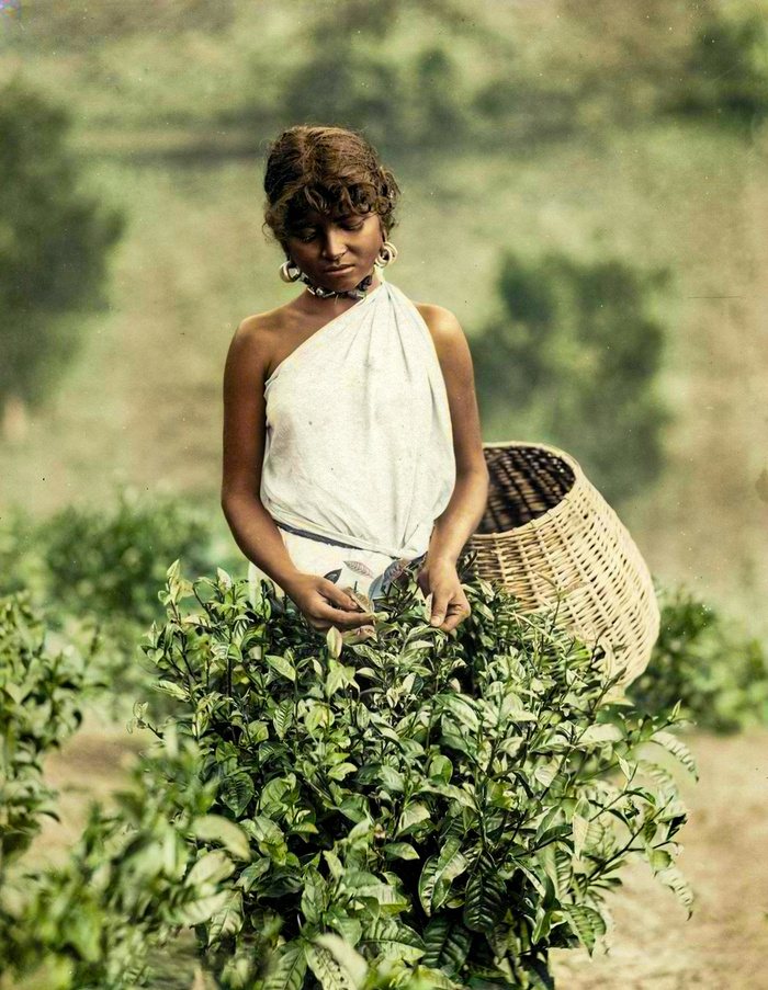 Уникальные исторические кадры, которые перенесут вас в прошлое. 20 раскрашенных фотографий из ХIX века. Часть III Историческое фото, Старое фото, Фотография, 19 век, Колоризация, Длиннопост