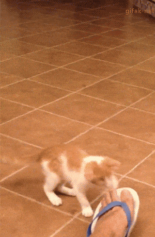   , , , 