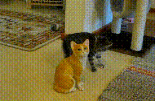   , , , 