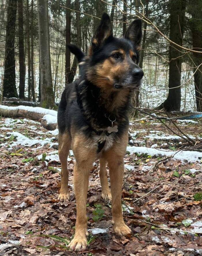 ��������?