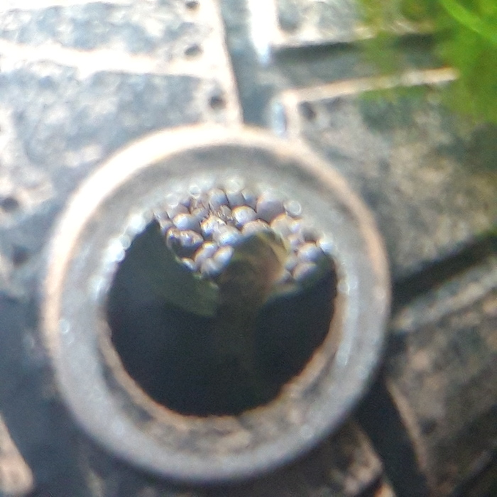 Пропант в иллюминаторе, пропант в иллюминаторе...