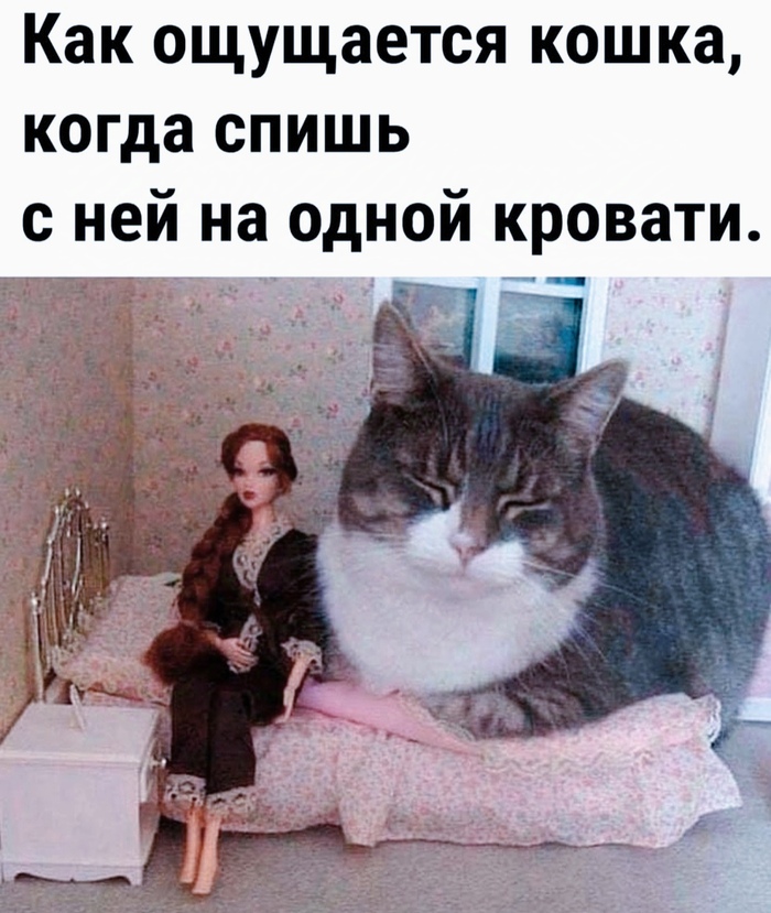      , , ,  ,  ,  , ,  ,  , , 