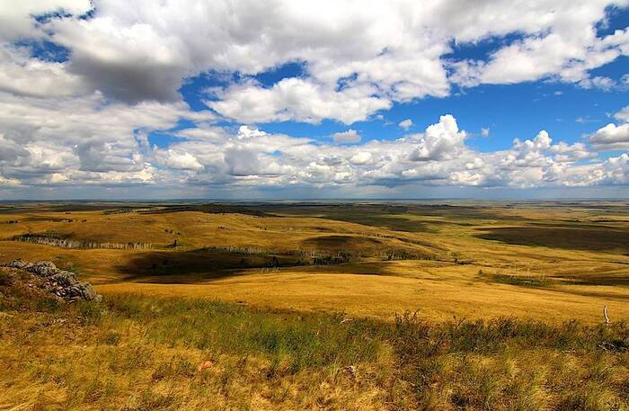 Главные фанаты ислама