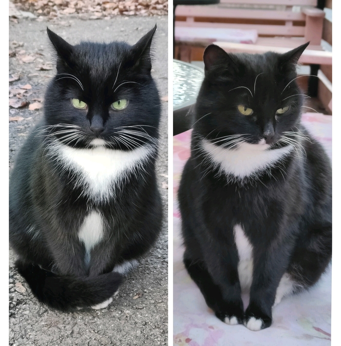 Братья (наверное)