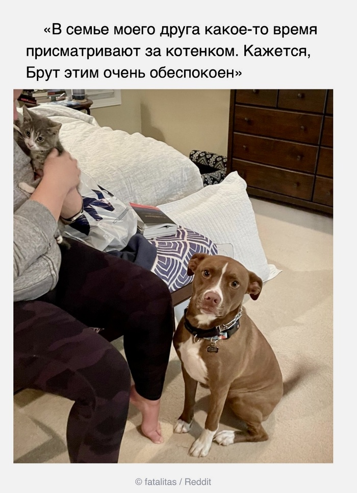  , ADME, Reddit, , 