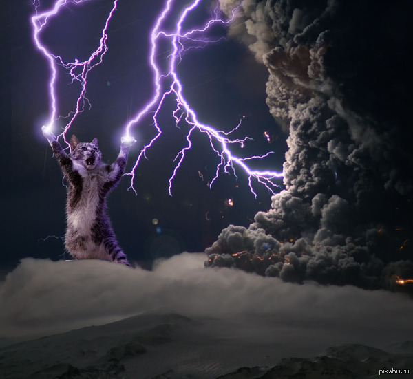 � ���� ����������!!!