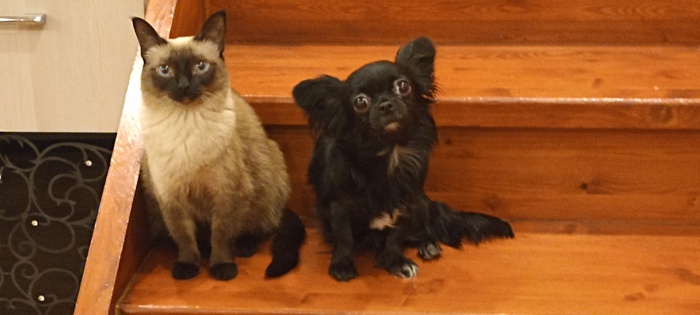 ��������...