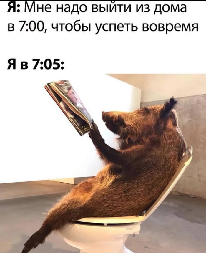    , ,  , 