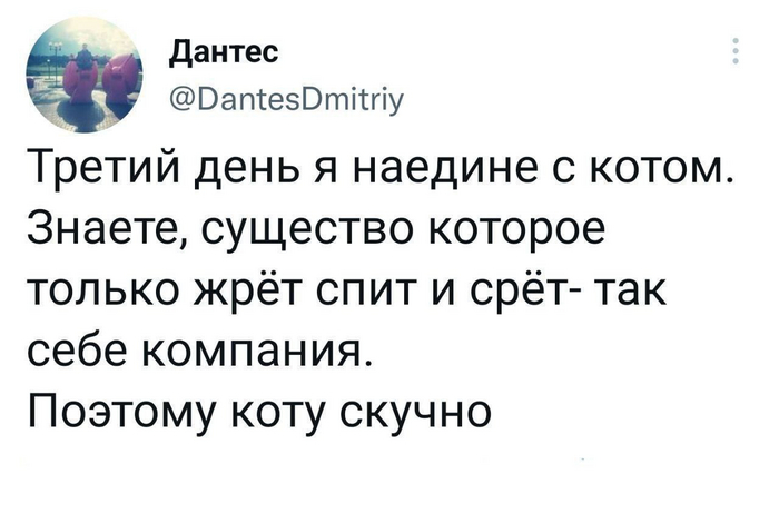   , , , , Telegram (),  - Twitter