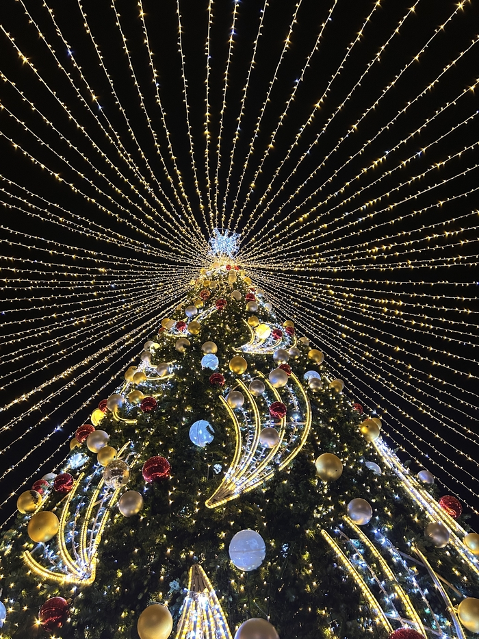 ����. ���������