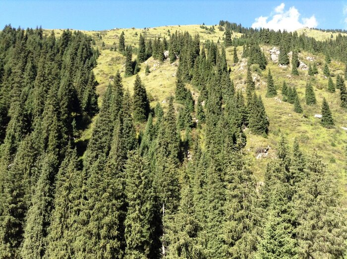  , -.    <!--noindex--><a href="https://pikabu.ru/story/novogodnie_rasteniya_eli_rossii_12173966?u=http%3A%2F%2Fkartinki.pics&t=kartinki.pics&h=892c4fd572802dbecab2fa500c672e7942e496e5" title="http://kartinki.pics" target="_blank" rel="nofollow noopener">kartinki.pics</a><!--/noindex-->.